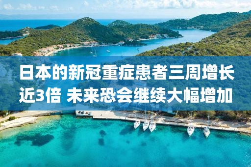 wushuxia 第27页
