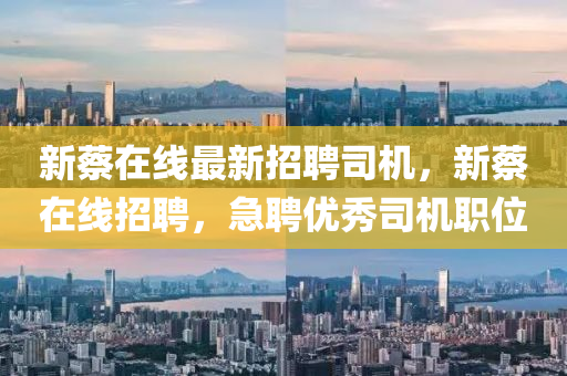 新蔡在线最新招聘司机，新蔡在线招聘，急聘优秀司机职位