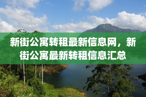 新街公寓转租最新信息网，新街公寓最新转租信息汇总