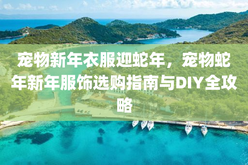宠物新年衣服迎蛇年，宠物蛇年新年服饰选购指南与DIY全攻略