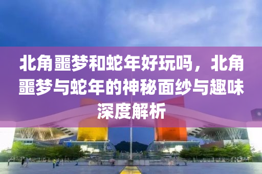 北角噩梦和蛇年好玩吗，北角噩梦与蛇年的神秘面纱与趣味深度解析