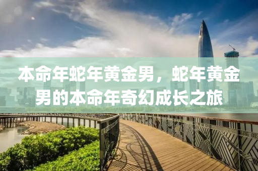 本命年蛇年黄金男，蛇年黄金男的本命年奇幻成长之旅