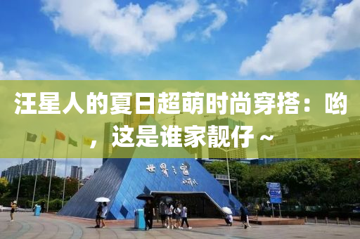 汪星人的夏日超萌时尚穿搭：哟，这是谁家靓仔～