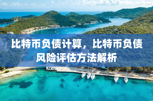 比特币负债计算，比特币负债风险评估方法解析