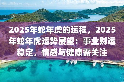 2025年蛇年虎的运程，2025年蛇年虎运势展望：事业财运稳定，情感与健康需关注