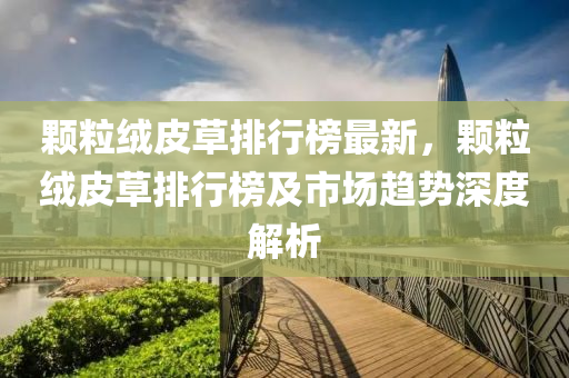 颗粒绒皮草排行榜最新，颗粒绒皮草排行榜及市场趋势深度解析