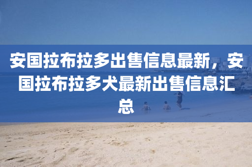 安国拉布拉多出售信息最新，安国拉布拉多犬最新出售信息汇总
