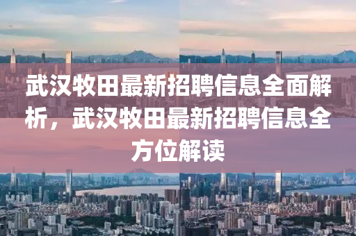 武汉牧田最新招聘信息全面解析，武汉牧田最新招聘信息全方位解读