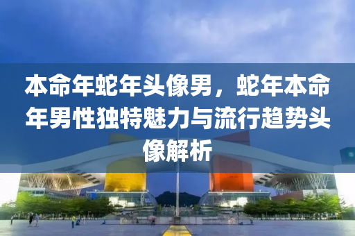 本命年蛇年头像男，蛇年本命年男性独特魅力与流行趋势头像解析