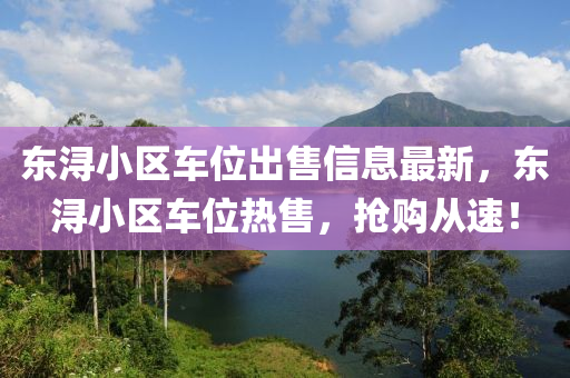 东浔小区车位出售信息最新，东浔小区车位热售，抢购从速！
