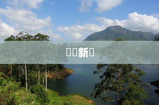 數據新聞