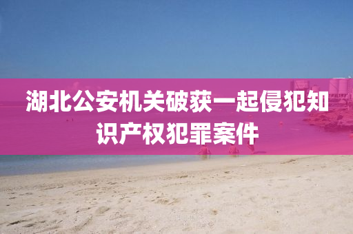 湖北公安机关破获一起侵犯知识产权犯罪案件