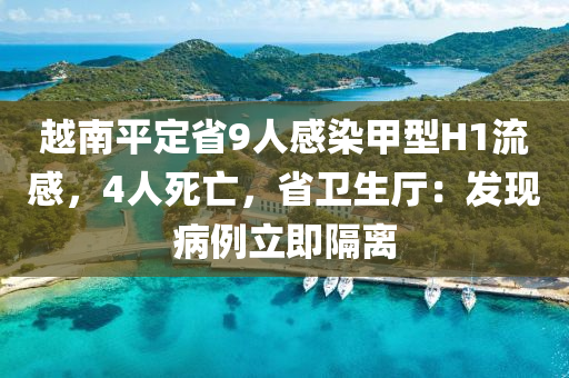 越南平定省9人感染甲型H1流感，4人死亡，省卫生厅：发现病例立即隔离