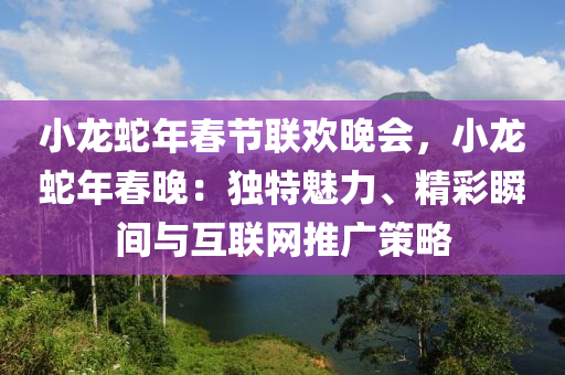 小龙蛇年春节联欢晚会，小龙蛇年春晚：独特魅力、精彩瞬间与互联网推广策略
