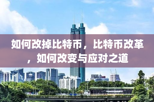 如何改掉比特币，比特币改革，如何改变与应对之道
