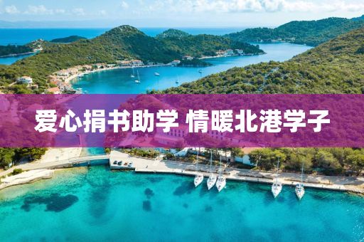 爱心捐书助学 情暖北港学子