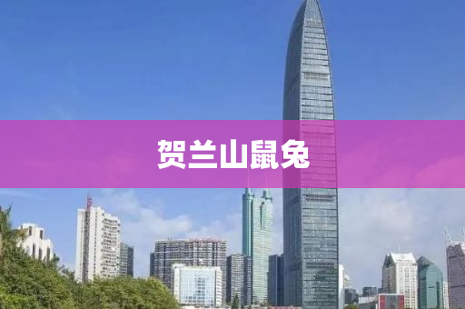 贺兰山鼠兔