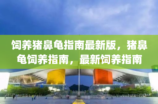 ruyue 第19页