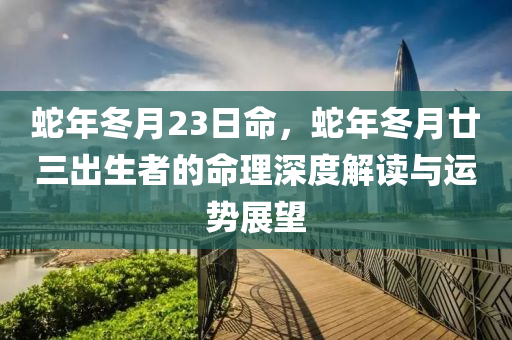 蛇年冬月23日命，蛇年冬月廿三出生者的命理深度解读与运势展望