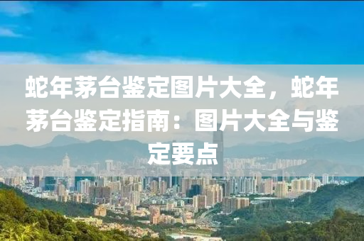 蛇年茅台鉴定图片大全，蛇年茅台鉴定指南：图片大全与鉴定要点