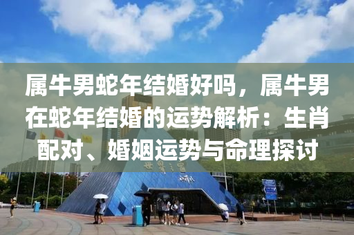 属牛男蛇年结婚好吗，属牛男在蛇年结婚的运势解析：生肖配对、婚姻运势与命理探讨