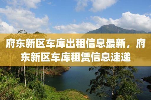 府东新区车库出租信息最新，府东新区车库租赁信息速递