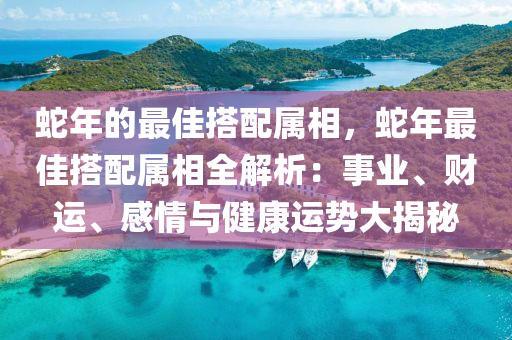 蛇年的最佳搭配属相，蛇年最佳搭配属相全解析：事业、财运、感情与健康运势大揭秘