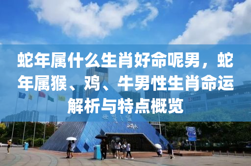 蛇年属什么生肖好命呢男，蛇年属猴、鸡、牛男性生肖命运解析与特点概览
