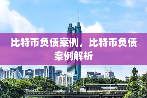 比特币负债案例，比特币负债案例解析