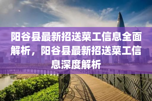 阳谷县最新招送菜工信息全面解析，阳谷县最新招送菜工信息深度解析