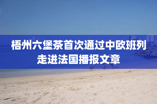 梧州六堡茶首次通过中欧班列走进法国播报文章