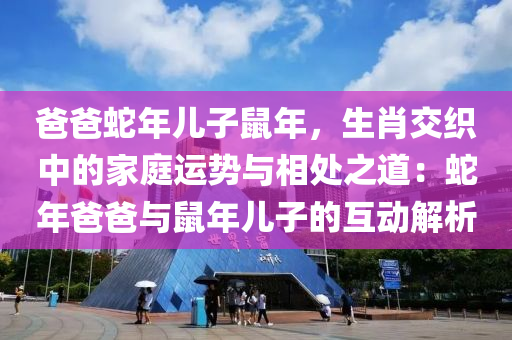 爸爸蛇年儿子鼠年，生肖交织中的家庭运势与相处之道：蛇年爸爸与鼠年儿子的互动解析
