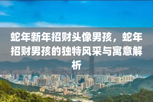 蛇年新年招财头像男孩，蛇年招财男孩的独特风采与寓意解析