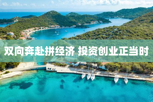 双向奔赴拼经济 投资创业正当时