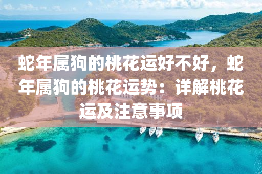蛇年属狗的桃花运好不好，蛇年属狗的桃花运势：详解桃花运及注意事项
