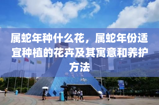 属蛇年种什么花，属蛇年份适宜种植的花卉及其寓意和养护方法