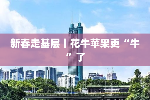 新春走基层丨花牛苹果更“牛”了