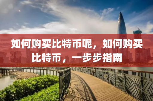 如何购买比特币呢，如何购买比特币，一步步指南