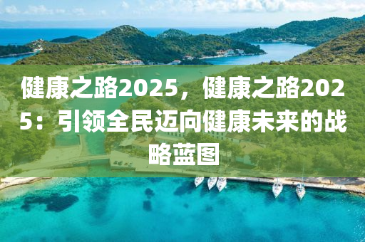 健康之路2025，健康之路2025：引领全民迈向健康未来的战略蓝图
