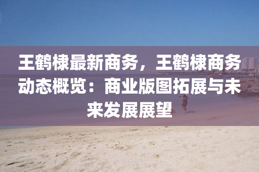 王鹤棣最新商务，王鹤棣商务动态概览：商业版图拓展与未来发展展望