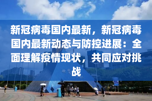 新冠病毒国内最新，新冠病毒国内最新动态与防控进展：全面理解疫情现状，共同应对挑战