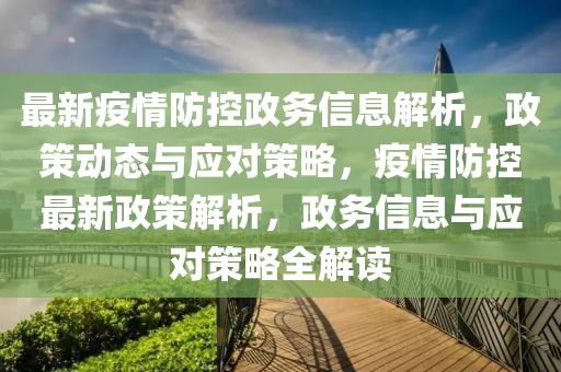 最新疫情防控政务信息解析，政策动态与应对策略，疫情防控最新政策解析，政务信息与应对策略全解读