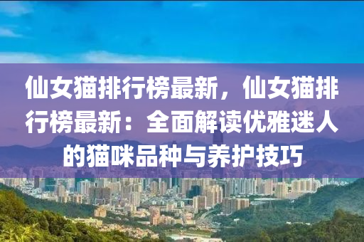 仙女猫排行榜最新，仙女猫排行榜最新：全面解读优雅迷人的猫咪品种与养护技巧