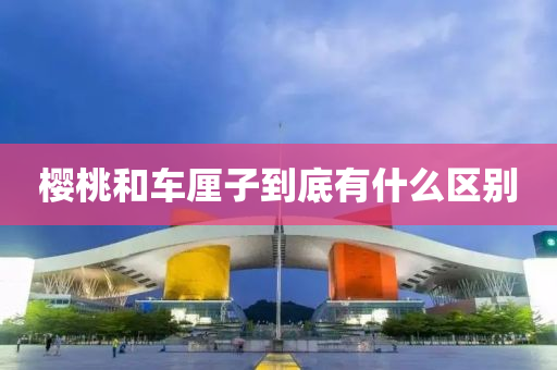 樱桃和车厘子到底有什么区别