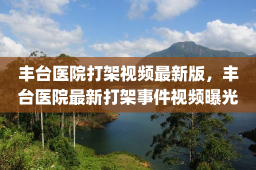 丰台医院打架视频最新版，丰台医院最新打架事件视频曝光