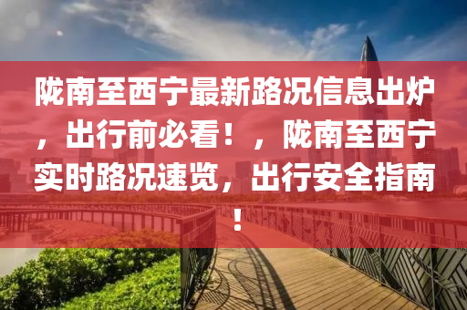 陇南至西宁最新路况信息出炉，出行前必看！，陇南至西宁实时路况速览，出行安全指南！