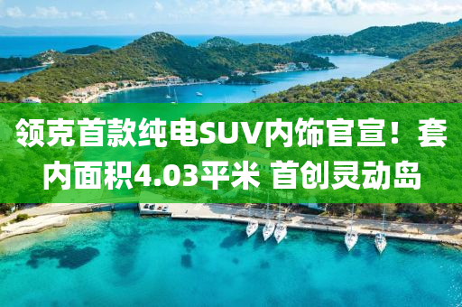 领克首款纯电SUV内饰官宣！套内面积4.03平米 首创灵动岛