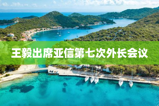王毅出席亚信第七次外长会议
