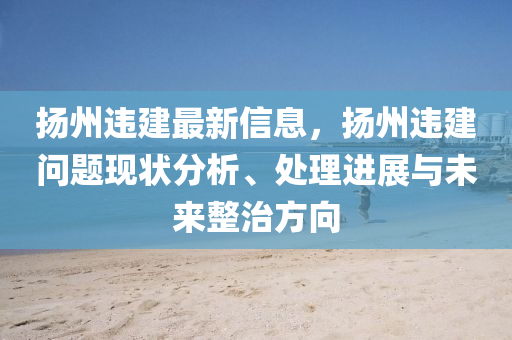 扬州违建最新信息，扬州违建问题现状分析、处理进展与未来整治方向