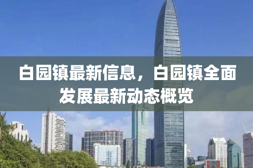白园镇最新信息，白园镇全面发展最新动态概览